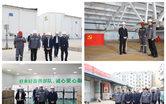 財(cái)金要聞│財(cái)金集團(tuán)黨委書(shū)記、董事長(zhǎng)安吉斌調(diào)研重點(diǎn)項(xiàng)目建設(shè)情況